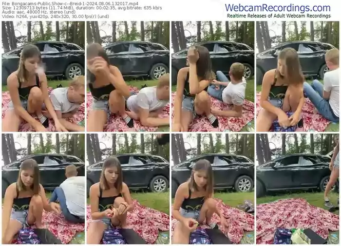 2024/08/06/bongacams--breid-1-13-20-17