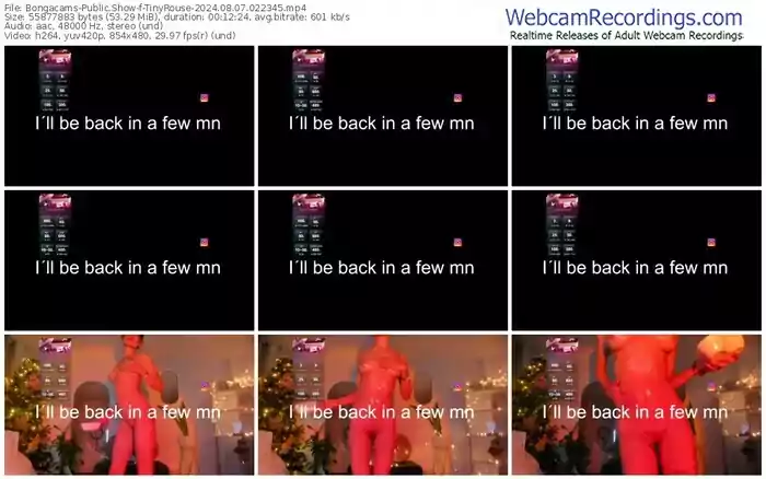 2024/08/07/bongacams-tinyrouse-02-23-45