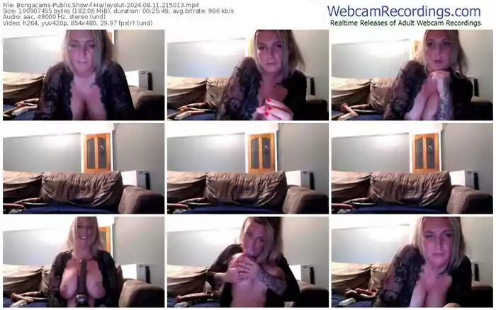 2024/08/11/bongacams-harleyslut-21-50-13