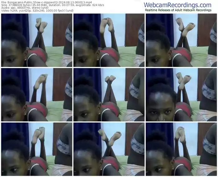 2024/08/13/bongacams-hippies02-06-00-13