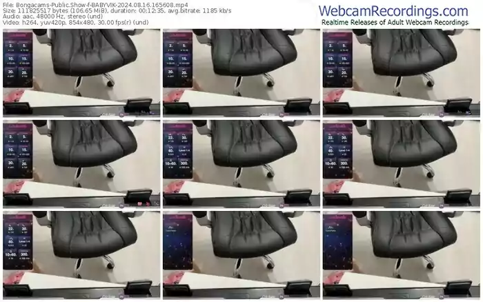 2024/08/16/bongacams-babyvik-16-56-08