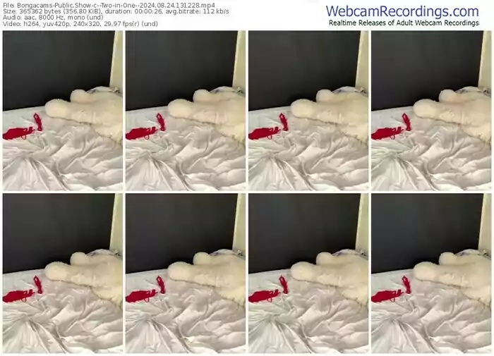 2024/08/24/bongacams--two-in-one--13-12-28
