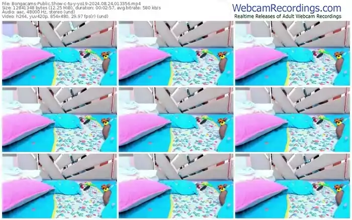 2024/08/24/bongacams-tu-y-yo19-01-33-56
