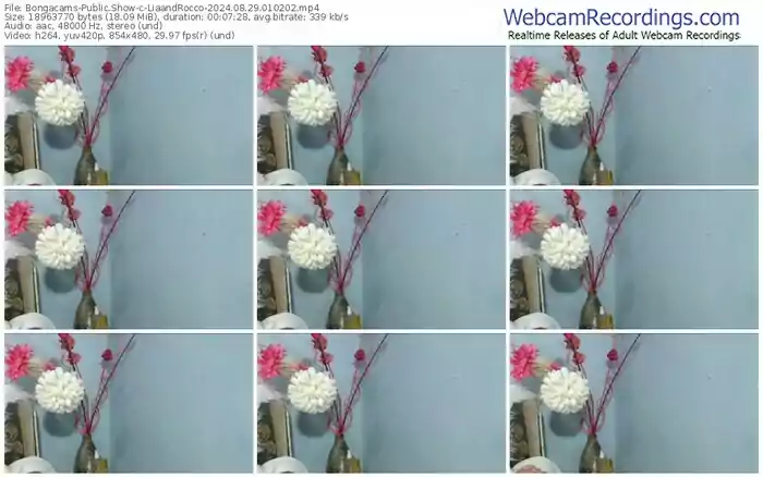 2024/08/29/bongacams-liaandrocco-01-02-02