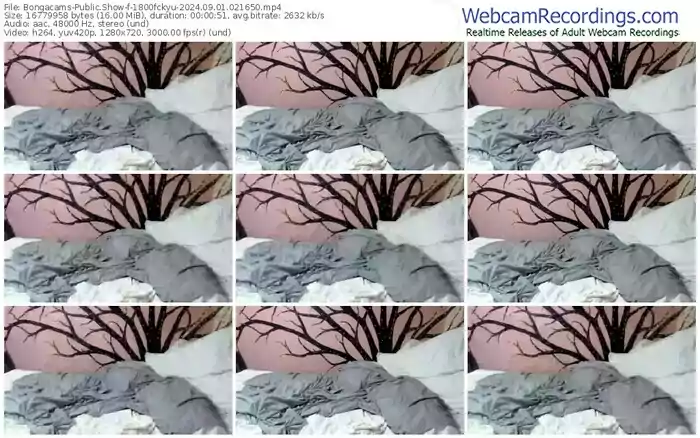 2024/09/01/bongacams-1800fckyu-02-16-50