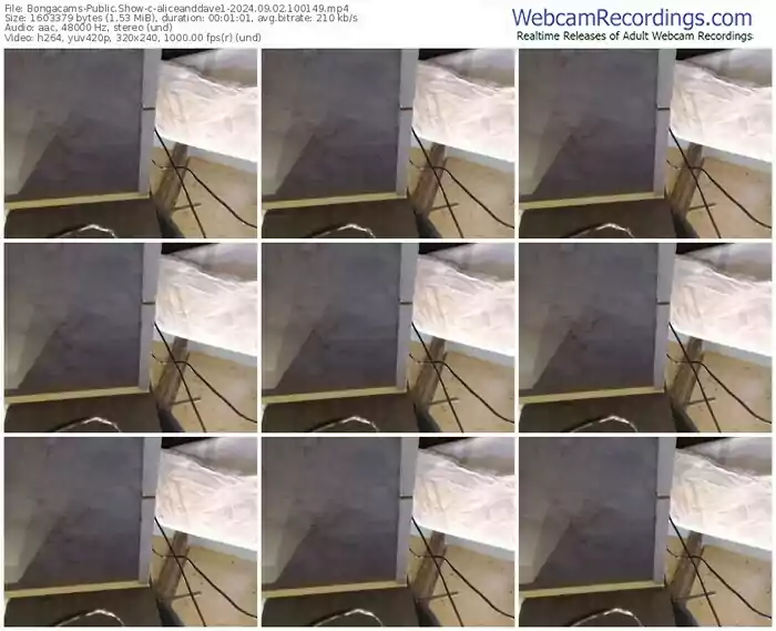 2024/09/02/bongacams-aliceanddave1-10-01-49