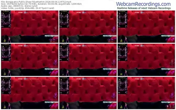2024/09/04/bongacams-evemartini-12-47-52