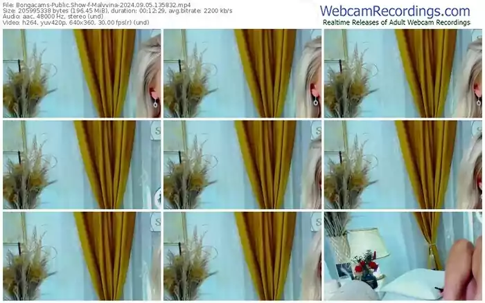2024/09/05/bongacams-malvvina-13-58-32