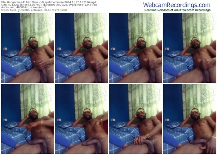 2024/11/25/bongacams-dispatchercruise-11-26-36