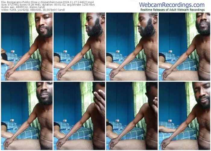 2024/11/27/bongacams-dispatchercruise-14-46-27