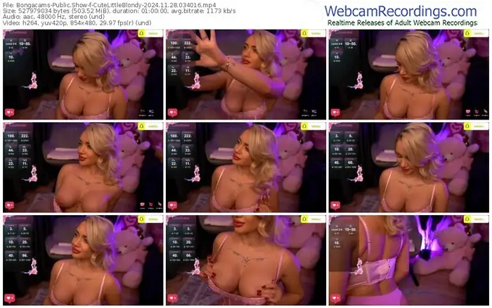 2024/11/28/bongacams-cutelittleblondy-03-40-16