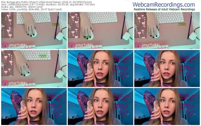 2024/11/30/bongacams--vikkil0vescheese--09-59-23