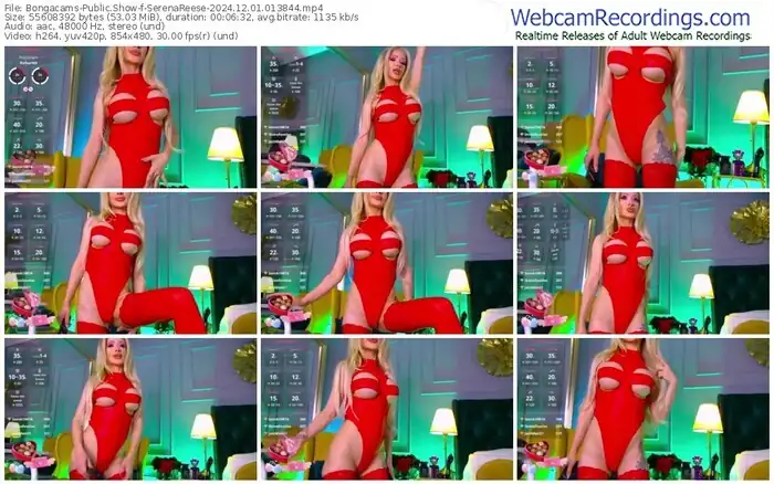 2024/12/01/bongacams-serenareese-01-38-44