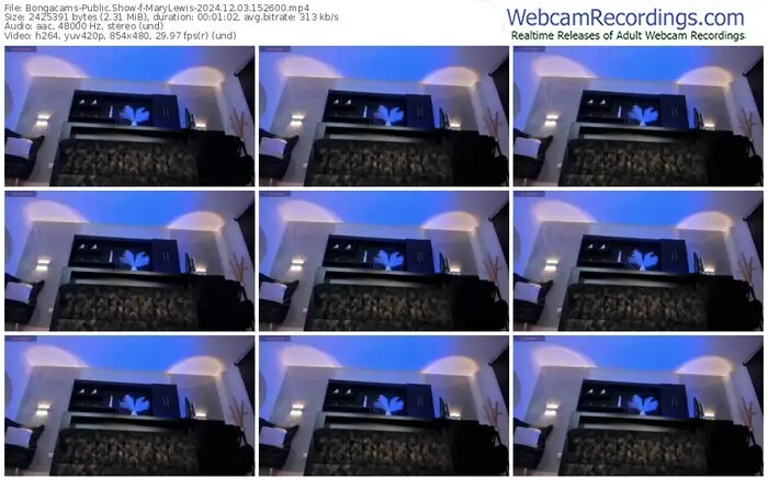 2024/12/03/bongacams-marylewis-15-26-00