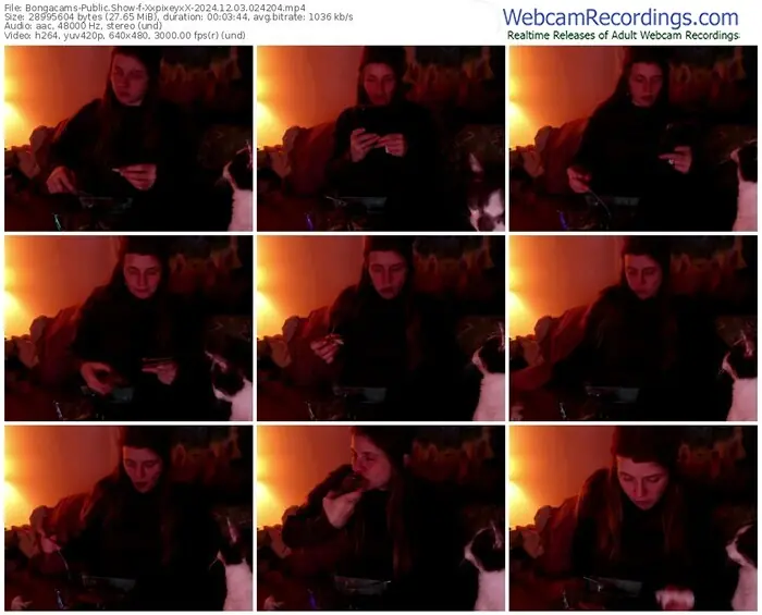2024/12/03/bongacams-xxpixeyxx-02-42-04