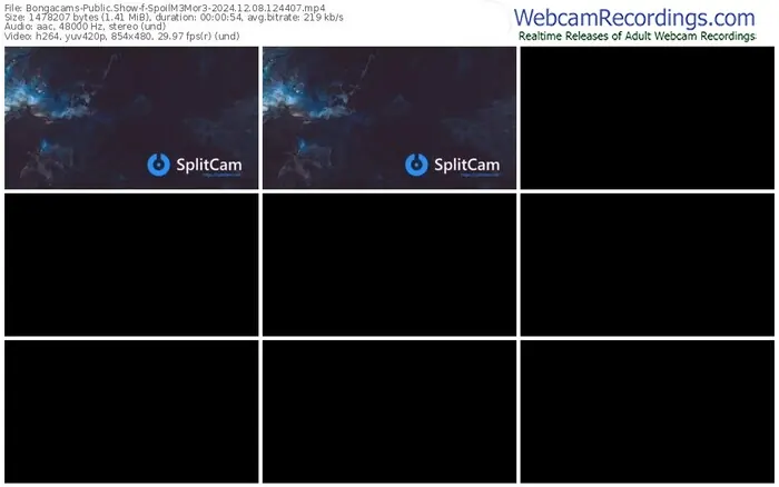 2024/12/08/bongacams-spoilm3mor3-12-44-07