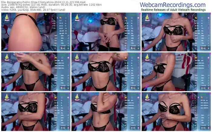 2024/12/11/bongacams-sonyassss-22-13-38