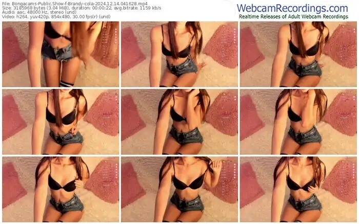 2024/12/14/bongacams-brandy-cola-04-16-28