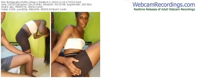 2024/12/16/bongacams-freakyg-1-17-31-16