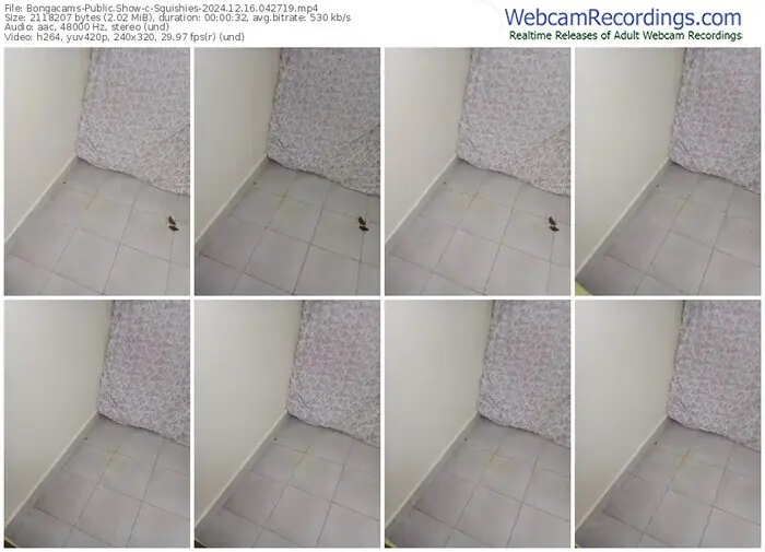 2024/12/16/bongacams-squishies-04-27-19