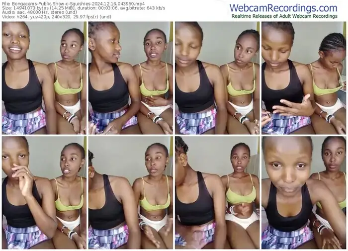 2024/12/16/bongacams-squishies-04-39-50