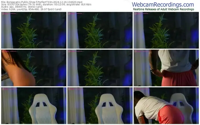 2024/12/16/bongacams-perfectt33n-13-46-20