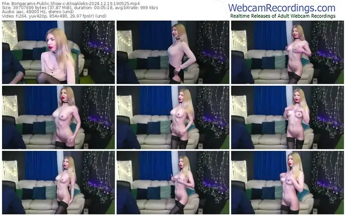 2024/12/19/bongacams-alisaaleks-19-05-25