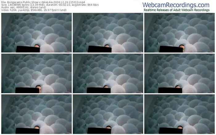2024/12/19/bongacams-nikelike-11-53-13