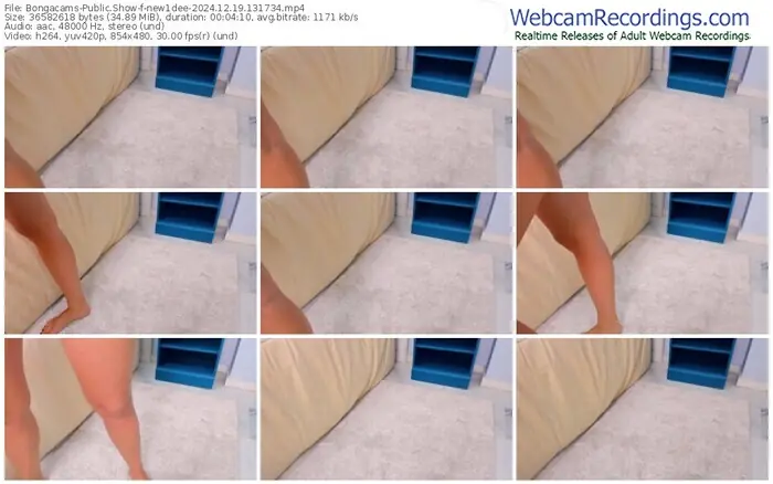 2024/12/19/bongacams-new1dee-13-17-34