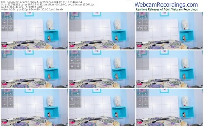 2024/12/21/bongacams-laraspark-16-55-46