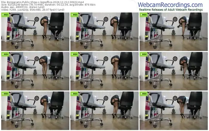 2024/12/23/bongacams-legsoffice-13-09-22