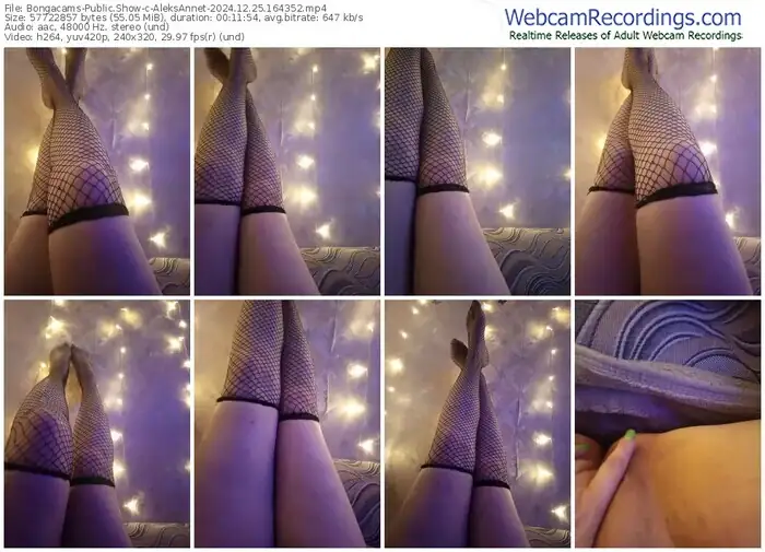 2024/12/25/bongacams-aleksannet-16-43-52