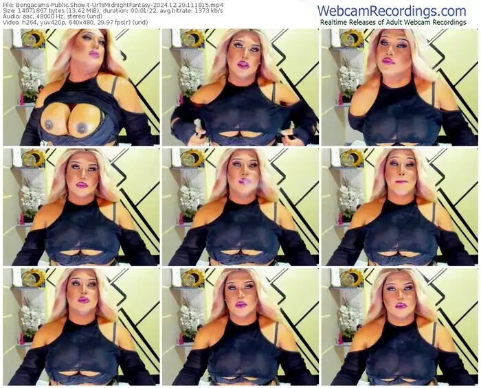2024/12/29/bongacams-urtsmidnightfantasy-11-18-15