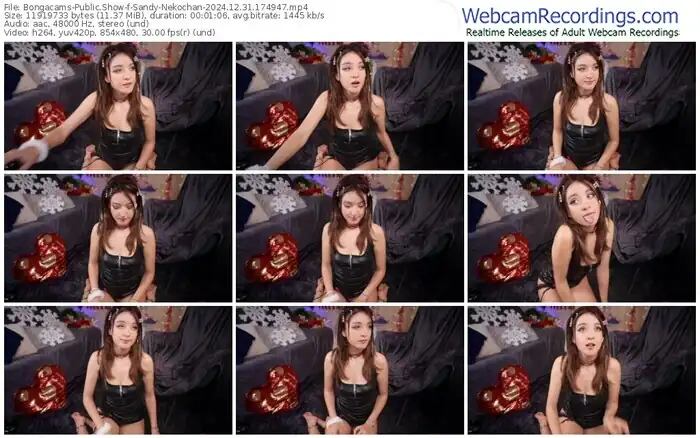 2024/12/31/bongacams-sandy-nekochan-17-49-47