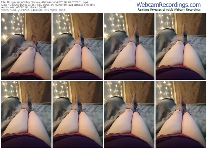 2025/01/02/bongacams-aleksannet-23-20-01
