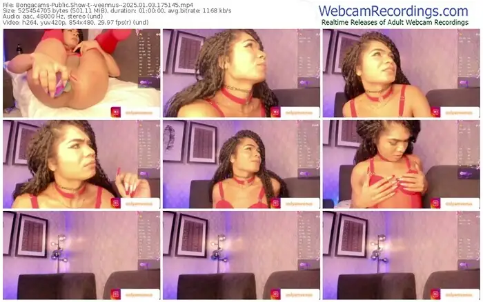 2025/01/03/bongacams--veennus--17-51-45