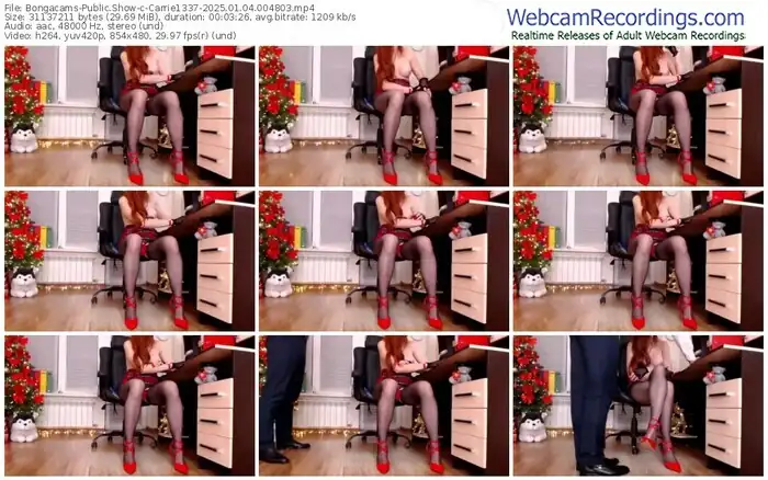 2025/01/04/bongacams-carrie1337-00-48-03