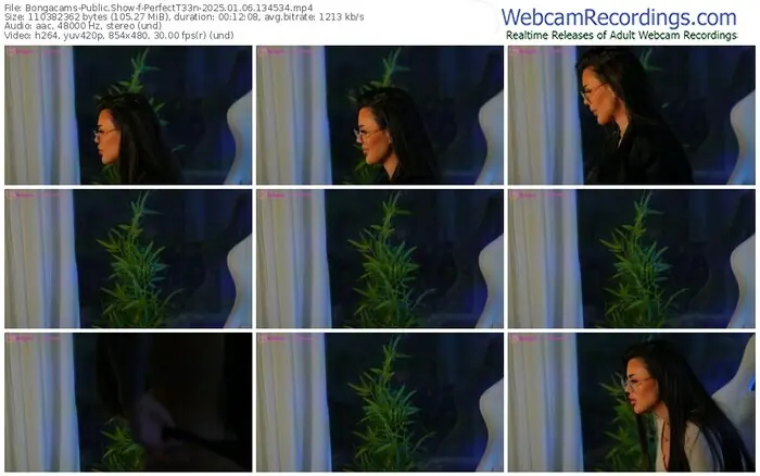 2025/01/06/bongacams-perfectt33n-13-45-34