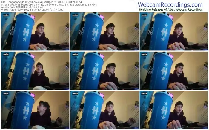 2025/01/13/bongacams-alisaoq-21-04-21