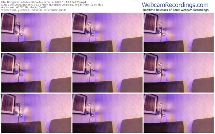 2025/01/13/bongacams--veennus--13-47-25
