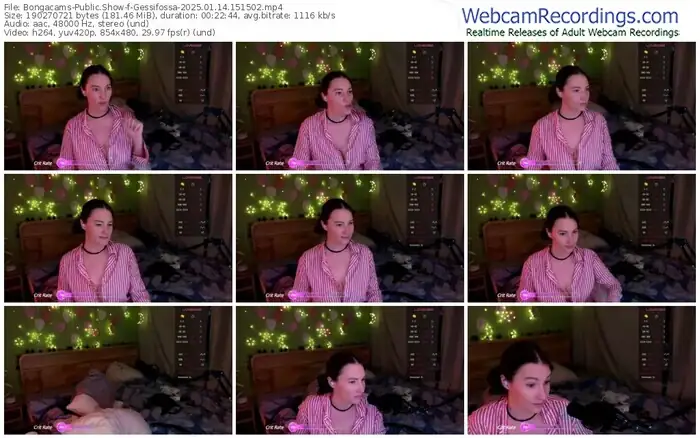 2025/01/14/bongacams-gessifossa-15-15-02