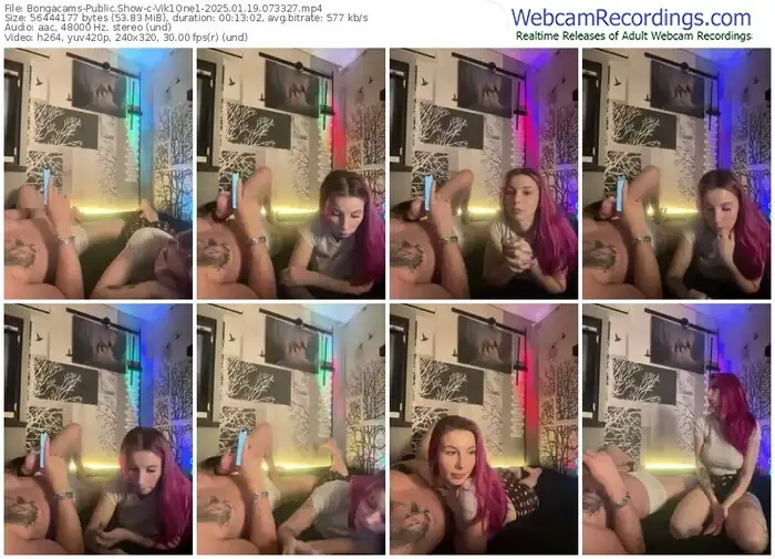 2025/01/19/bongacams-vik1one1-07-33-27
