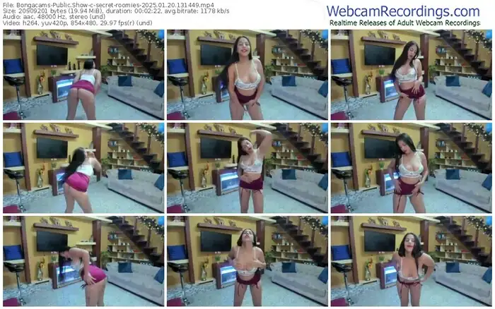 2025/01/20/bongacams-secret-roomies-13-14-49