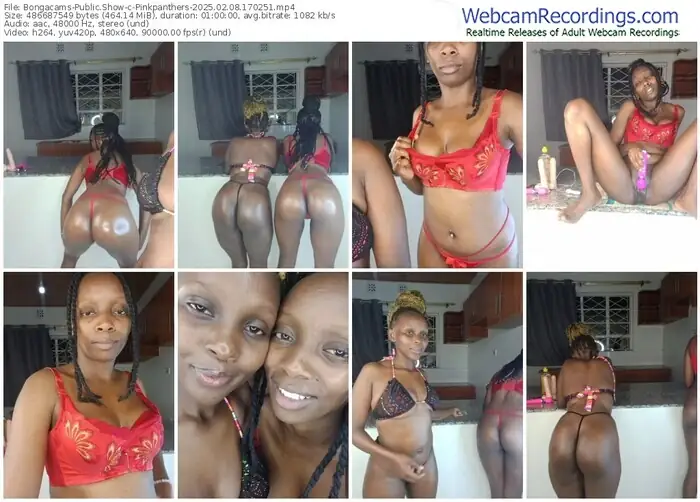 2025/02/08/bongacams-pinkpanthers-17-02-51