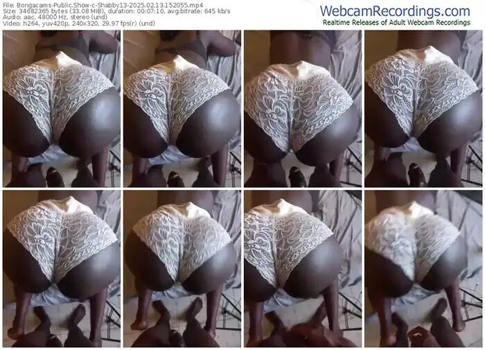 2025/02/13/bongacams-shabby13-15-20-55