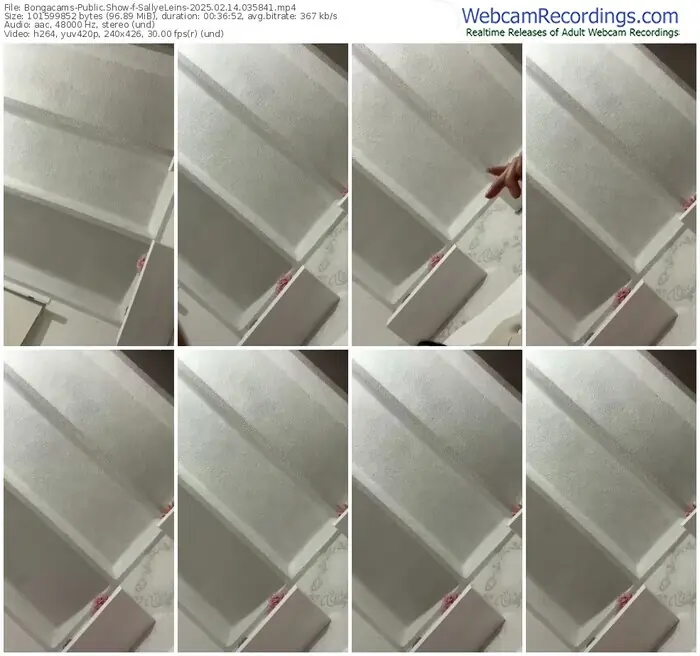 2025/02/14/bongacams-sallyeleins-03-58-41