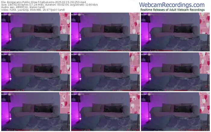 2025/02/15/bongacams-sallyeleins-23-12-53
