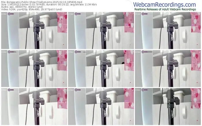 2025/02/16/bongacams-sallyeleins-18-58-36