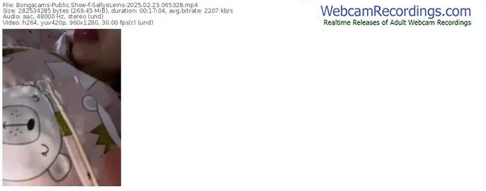2025/02/23/bongacams-sallyeleins-06-53-28