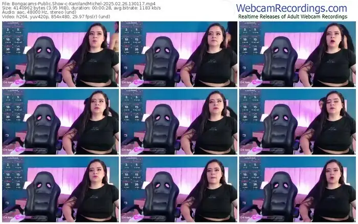 2025/02/26/bongacams-karolandmichel-13-01-17